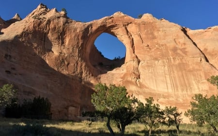 Window Rock, Arizona - nature, canyon, trees, usa