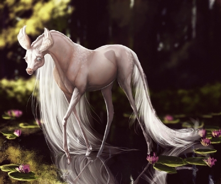 •ღ✿ღ• - creature, fantasy, animal, woods