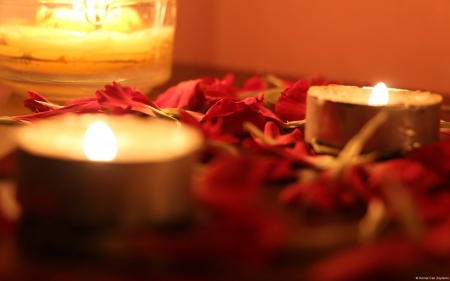 Home warmth - candle, abstract, petals, light