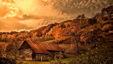 Old Barn in the Forest - Forest, Autumn, Nature, Barn