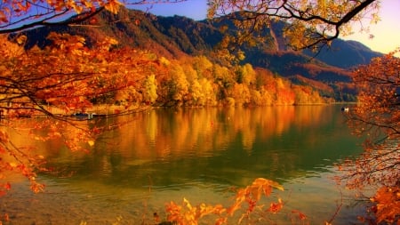 Autumn at the lake - lake, fall, water, seasons, orange, warm, nature, autumn