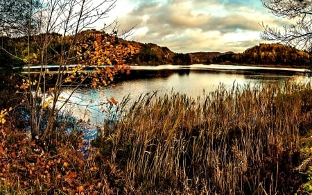 Mountain Lake - Mountain, Lake, Nature, Meadow