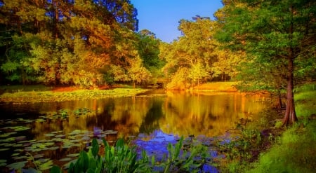 Autumn lake - reflections, trees, pond, beautiful, tranquil, forest, fall, autumn, serenity, lake, foliage