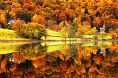 Double View - trees, autumn, lake, colors, leaves