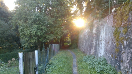 Glowing Sun - snapshot, trees, photography, sun, leaf, path, glowing, green, tree, photograph, grass, morning, outside, fence, way, day, light, park, nature, city wall, daytime, wall, leafs, leaves, photo, gray, sunrise