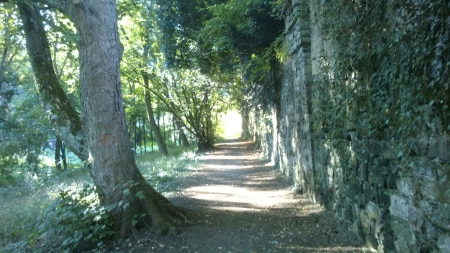 Path to Light - sunshine, snapshot, trees, photography, leaf, path, wood, green, forrest, tree, photograph, outside, way, day, light, park, city wall, nature, woods, daytime, wall, leafs, leaves, photo, gray