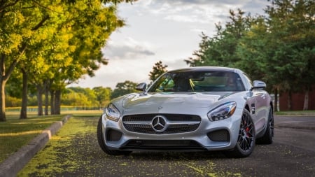 2017 Mercedes-Benz AMG GTS - street, car, Mercedes Benz, auto, 2017, GTS, AMG