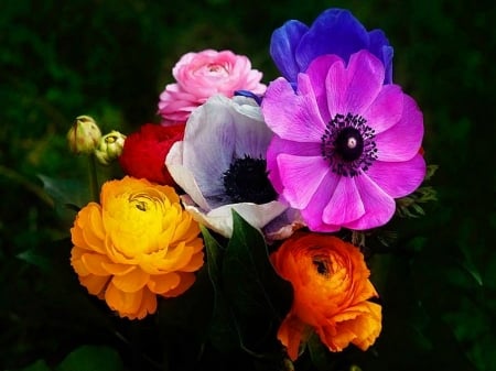 Stand out - bright, colors, flowers, black