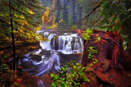 Autumn waterfall - trees, branches, beautiful, forest, fall, colorful, waterfall, autumn, view, rocks