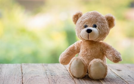 Teddy Bear - wood, toy, stuff, teddy bear