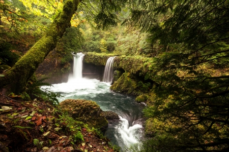 Waterfalls - trees, water, nature, Waterfalls, landscape, forest, wild