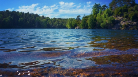 Lake - pebbles, lake, trees, water