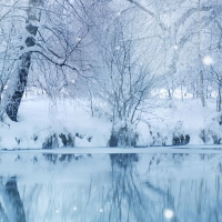 Frozen Lake Reflection