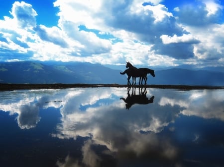 Two Horses - horses, sky, lake, animal, water, reflection, clouds