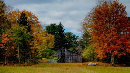 Autumn in Kent County, Michigan - fall, trees, car, colors, shed, leaves