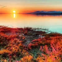 Sea Sunset