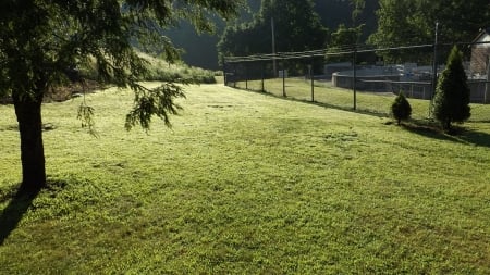 Morning sun - dew drenched grass, glittering, morning, sunshine on the grass