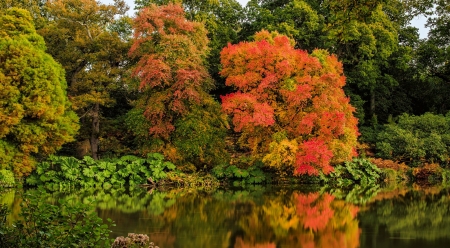 Early autumn - early, autumn, lake, trees, serenity, foliage, fall, forest, tranquil, beautiful, pond