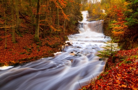 Forest cascades in autumn - autumn, cascades, trees, colroful, stream, waterfall, brook, foliage, creek, fall, forest, beautiful, river, leaves