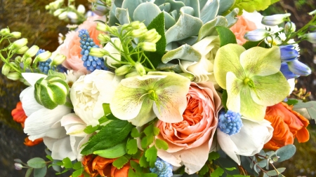 FLOWERS - assorted, leaves, petals, colors