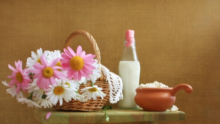 DAISIES - basket, still life, petals, colors