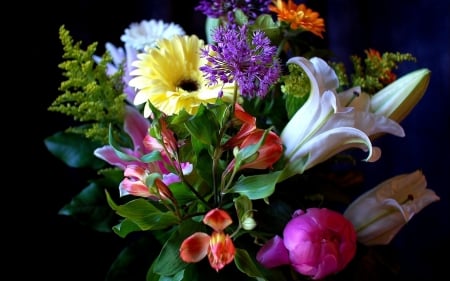 FLOWERS - leaves, assorted, colors, petals