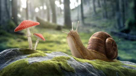 On the Way - mushroom, trees, forest, snail, artwork