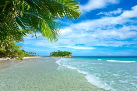 Beach - water, beach, ocean, sand, palm trees, clouds, island, trees, sea, paradise