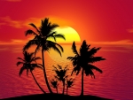 Tropical Sunset