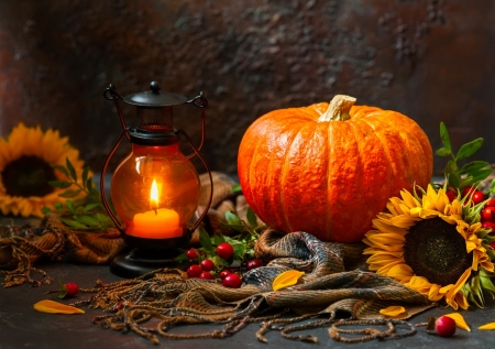 Fall still life - sunflower, autumn, candle, pumpkin, light, still life, fall, pretty, lantern, beautiful