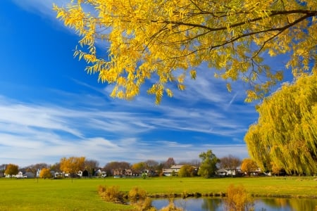 Autumn in countryside - trees, beautiful, village, fall, colorful, countryside, autumn, golden, peaceful, foliage, sky