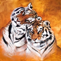 Tigers