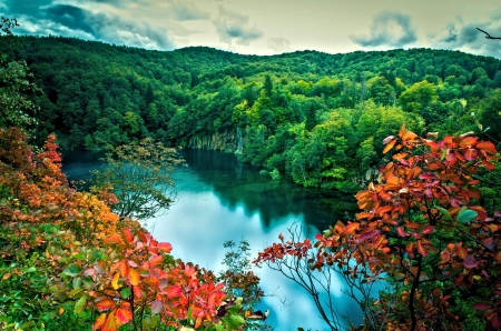 Forest Lake - nature, lake, autumn, forest