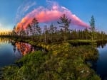 Pink Clouds Above The Forest