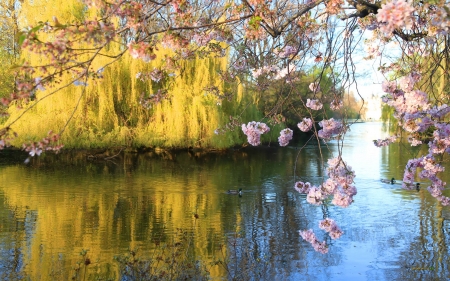 â€¢âŠ°âœ¿âœ¿âŠ±â€¢ - thatch, lakes, nature, water