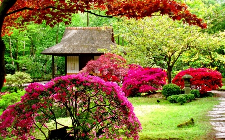 â€¢âŠ°âœ¿âœ¿âŠ±â€¢ - nature, park, garden, landscape