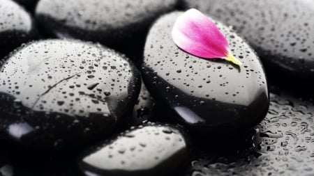 â€¢âŠ°âœ¿âœ¿âŠ±â€¢ - zen, stone, spas, petal