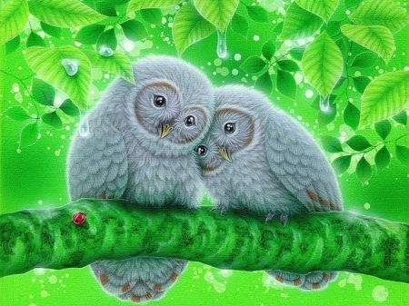 After the Rain - branches, lovely four seasons, couple, water drops, animals, summer, rains, owls, green leaves, paintings