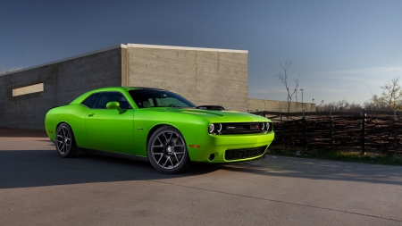 2016 Dodge Challenger - 2016, car, Challenger, Dodge