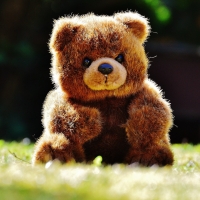 Teddy bear