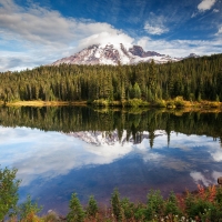 nature mountain forest