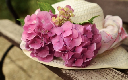 Summer hat - vara, hat, hydrangea, summer, flower