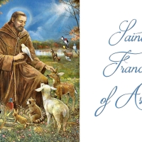 Saint Francis of Asisi