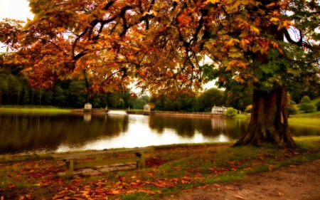 â€¢âŠ°âœ¿âœ¿âŠ±â€¢ - nature, hd, lakes, autumn, fall, tree