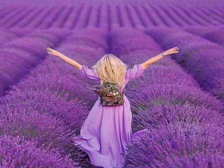 In lavender fields - woman, purple, field, lavender