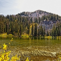 Autumn Landscape