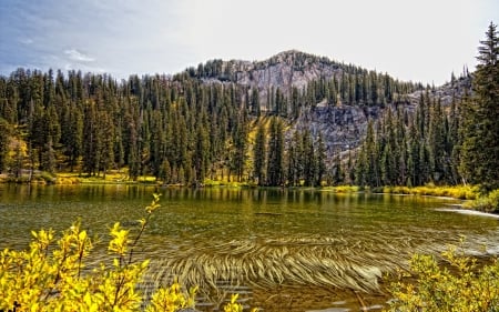 Autumn Landscape - lake, forest, landscape, flowers, trees, nature, mountain, autumn