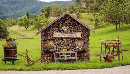 Wood House - wood, nature, valley, trees, bench, mountains, wood house