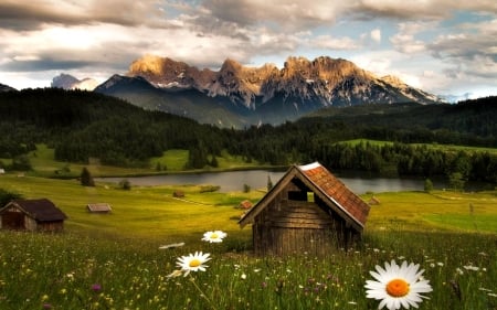 Mountain Lake - nature, lake, meadow, mountain