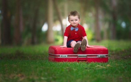 Little boy - boy, red, green, copil, suitcase, child